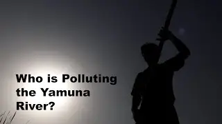 Who is Polluting the Yamuna River? | Clean Yamuna Project | Industrial pollution | The Probe