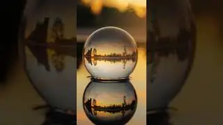 have you heard of lens ball photography #lensball #photography