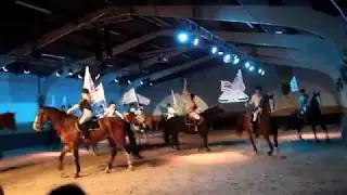 Met vlag en wimpel, Lustrumshow den Toom