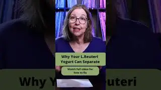 Why Your L  Reuteri Yogurt Can Separate | Cultured Dairy for Keto and Carnivore Diet