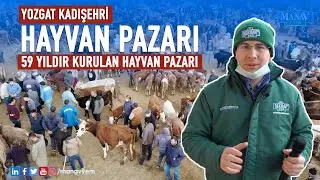 59 Yıldır Kurulan Hayvan Pazarı | Yozgat Kadışehri Hayvan Pazarı [4K]