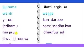 Shaakala  jechoota  barreessu |kutaa 2  