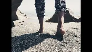 F.I.S.H.I. (Мысли взвук) - Cheeky Blues