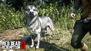 TREINANDO O CACHORRO-LOBO e o NOVO CAVALO -  Red Dead Redemption 2
