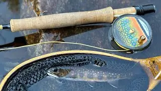 Citizen Science On The East Canada Creek 