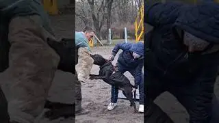 💣Stranglehold. Pitbull Boss.  Dog training GUARD. Odessa.