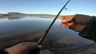 Visit Navajo - Trout fishing at Wheatfields Lake on May 24, 2019