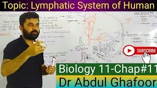 Lymphatic system of Human||Biology 11||New National Curriculum 2025||Dr Abdul Ghafoor 