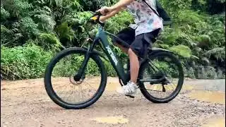 Electric Bike for Adults with Peak 750W Brushless Motor,40Miles 25MPH