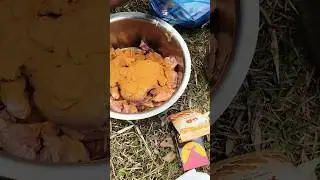 Day out with friend's and cooking spicy and delicious gaon chilly chicken #cooking #nature #friends