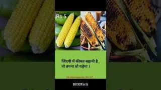 #shorts #trending #facts #amazingfacts #dailyfacts #factsinhindi #factshorts #br30facts