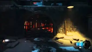 INTERACTIVE TOP 5 ZOMBIES - Top 5 Zombies Perks (You choose!!)