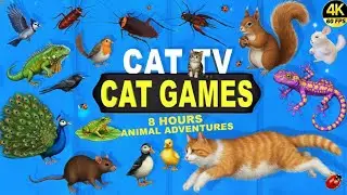 CAT TV | ULTIMATE 8-HOUR CAT GAMES COMPILATION | PENGUIN, LIZARD, FROG, RAT & MORE 🐱 4K60FPS