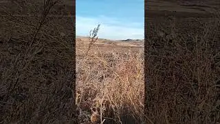 Love the view from a layout blind!!!