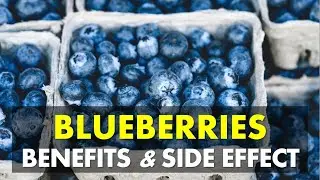 Blueberries Benefits and Side Effects | Benefits of Eating Blueberry Everyday