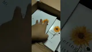 I wrote a book for Christian Mothers 📖