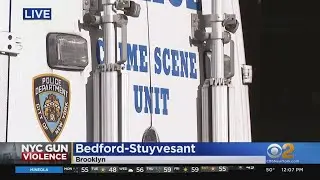 Young Woman Killed, 6 Teens Hurt In Shooting At Sweet 16 In Bed-Stuy