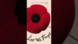 American Veterans Past and Present 🙏🏼       Thank You For Your Service &hearts;️   #lestweforget