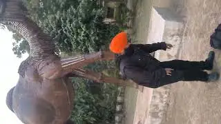 Statue of Camel 🐫 at Company Garden in Alwar