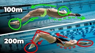 How To Swim Backstroke Like the BEST in the World