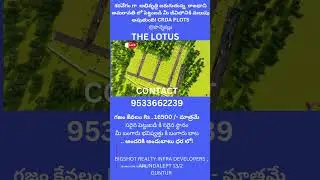 Plots for sale in Amaravathi, Ponnekallu, The Lotus  #plotsforsale #realestate #amaravathi #guntur