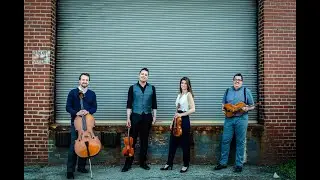 Beo String Quartet