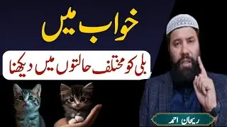 The Meaning of Seeing a Cat in a Dream | KHawab ma Belli Dakhna |خواب میں بلی دیکھنا #Badr_E_Munir