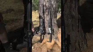 Airgun Suppressor Shootout - Megalodon vs HP Max