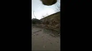Cat POV Cam &mdash; Exploring the World Softly