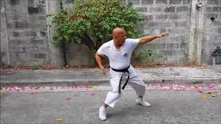 My Shotokan Gyaku zuki