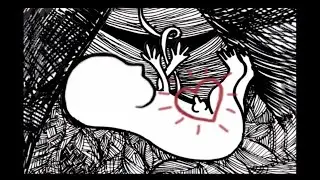 An Alternative to Rape Culture : Sexuality, Bravery, Joy and Ubuntu