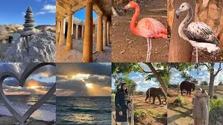 Vlog: Mergem la Mormintele Regilor în Paphos! Vizităm grădina zoologică! Ultima în Cipru 🇨🇾 