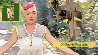 1 | SisDee | One & Peerless | Far East Riddim | Jamaican LP Singster