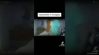 meanwhile in hungary