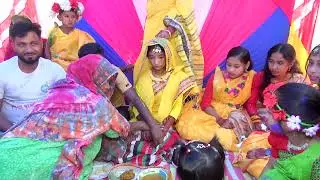 জুই ও সবুজের শুভবিবাহ হাবিবুর ভিডিও 