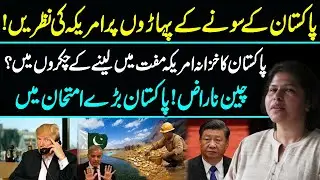 US Interest in Minerals | Pakistan's $6 Trillion Mineral Wealth | Reko Diq | China | Ayesha Siddiqa
