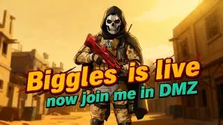 🎯 BIGGLES | DMZ &ndash; Every Shot Counts