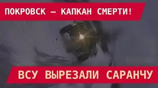 ПОКРОВСК – КАПКАН СМЕРТИ! ВСУ ВЫРЕЗАЛИ САРАНЧУ