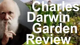 Tropical Gardens UK: Charles Darwin's Secret Garden, Down House - Review, Walk-Round and Commentary