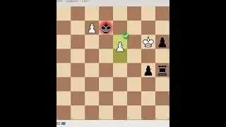 Overloading In Chess...
