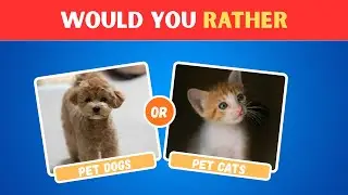 Would You Rather&hellip;? ANIMAL EDITION 🐾 | Fun Animal Quiz Game