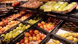 Zero Waste Van Life - Plastic Free Grocery Shopping in The Netherlands