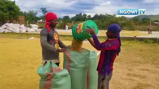 SIKUKUU YA NANE 2023   WAZALISHAJI WADOGO VIJIJINI BADO WALIA NA  CHANGAMOTO YA MASOKO NA MITAJI