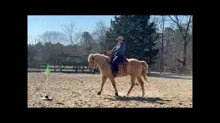 DLTC CLOUD RIDER SERIES - Meghan Harrison and Tangle Certification