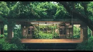 Train Calming Lofi Rain