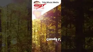 Twilight's Grip on Fading Whispers #emotionalclips #viralshorts #unspokenfeelings #music #shorts