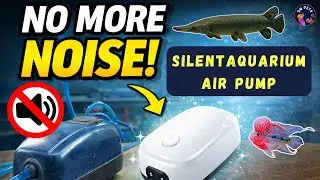 Stop Aquarium Air Pump Noise! Ultra Silent Aquarium Pump Tested!