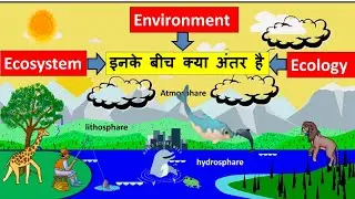 difference between environment and ecology