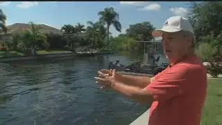 Process to remove tape grass from Cape Coral canals gets underway