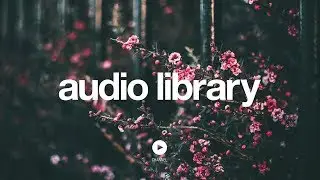 Expression &ndash; Pold (No Copyright Music)